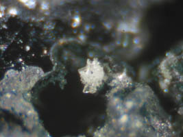 drugmanite-photo & coll JDV